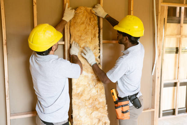 Professional Insulation in Lake Lakengren, OH